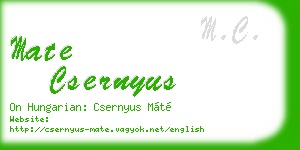 mate csernyus business card