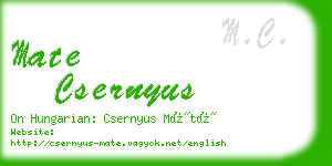 mate csernyus business card